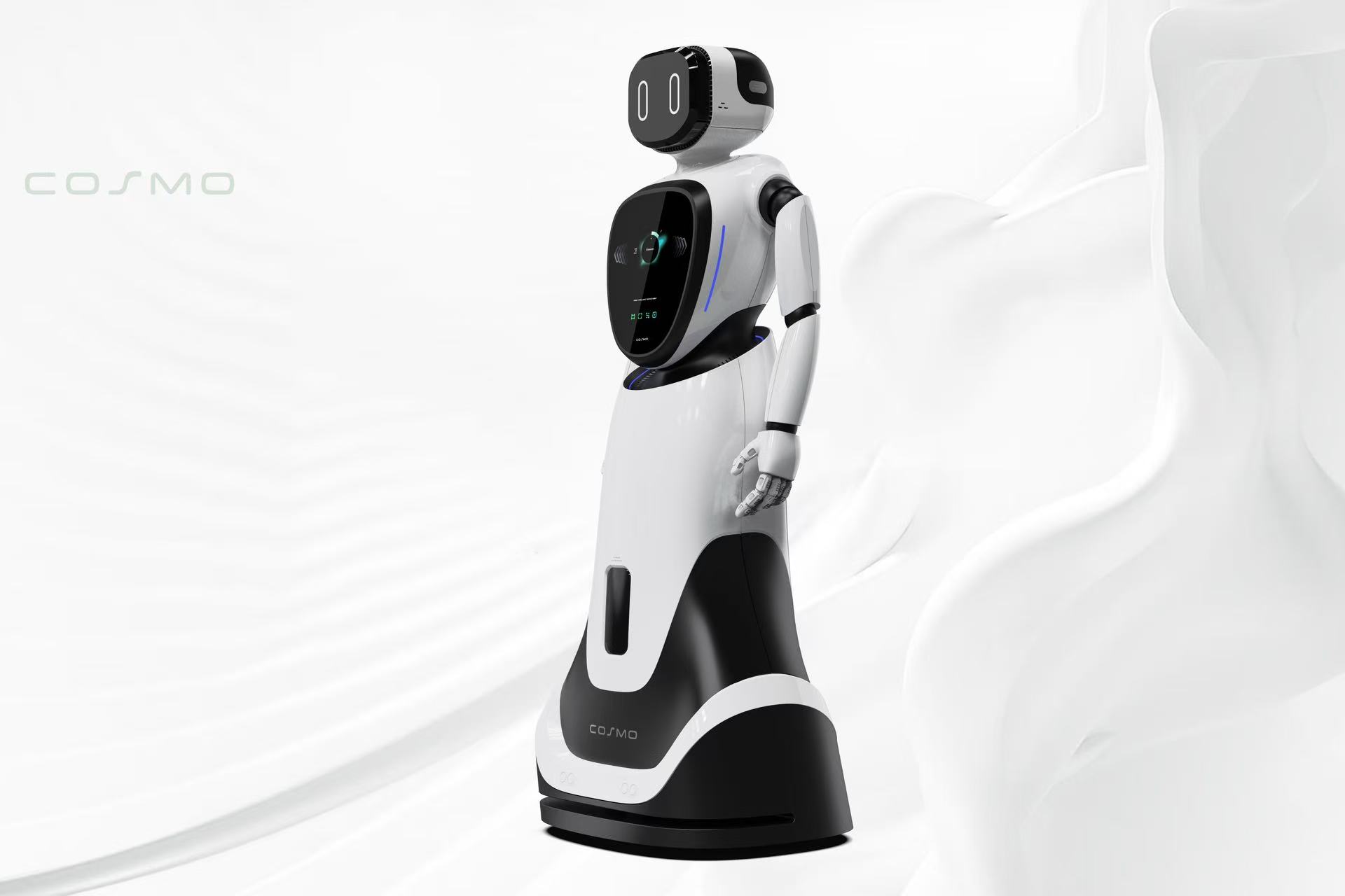 人形機(jī)器人(圖3)